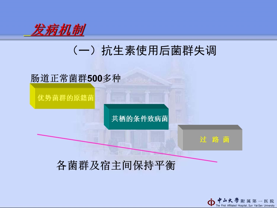 最新抗生素相关性腹泻管向东PPT文档.ppt_第3页