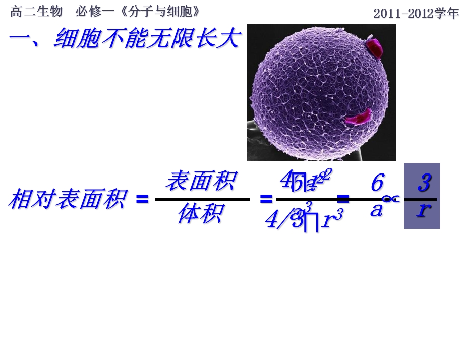 必修一第一节细胞增殖文档资料.ppt_第3页