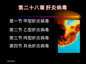 第二十八部分肝炎病毒名师编辑PPT课件.ppt