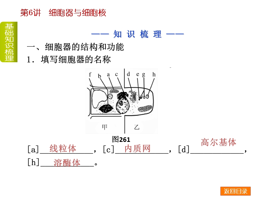 第6讲细胞器与细胞核共74张文档资料.ppt_第2页