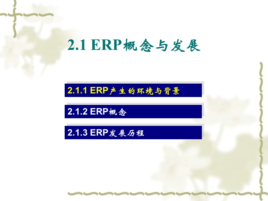 [人力资源管理]第二章 ERP理论的形成.ppt_第3页