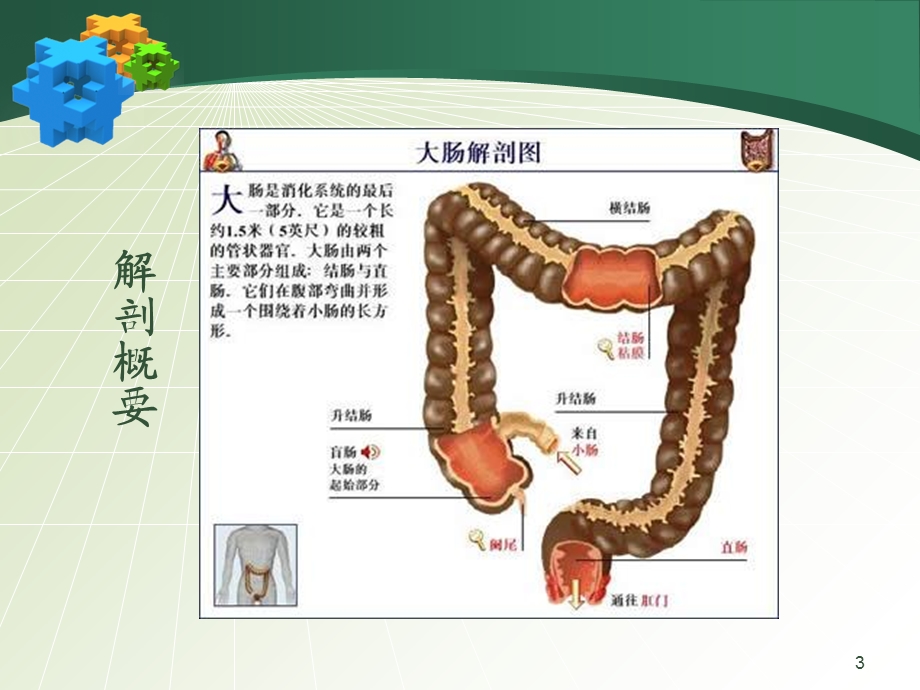 大肠疾病的护理精选文档.ppt_第3页