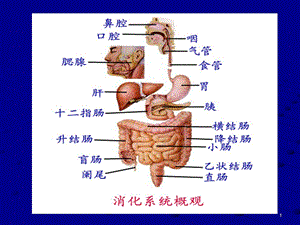 最新上消化道出血第八版ppt课件PPT文档.ppt