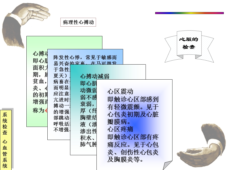 心血管系统检查文档资料.ppt_第3页