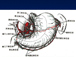 腹部3文档资料.ppt