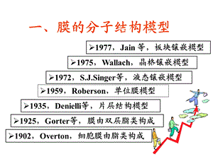 最新：第二节细胞膜的分子结构文档资料.ppt