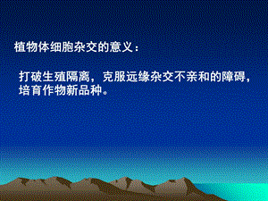 动物细胞工程PPT文档.ppt