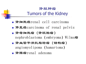 泌尿、男生殖系肿瘤精选文档.ppt