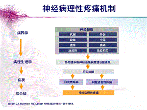 3乐瑞卡机制性治疗神经病理性疼痛PPT课件.ppt