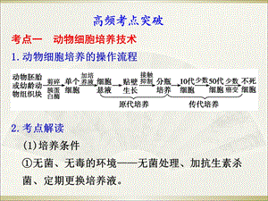 人教版教学课件22动物细胞工程PPT课件.ppt