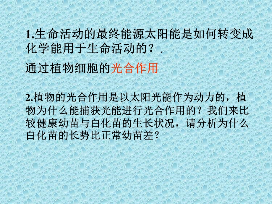 人教版教学课件第5章细胞的能量供应和利用第4节能量之源──光与光合作用PPT文档资料.ppt_第2页