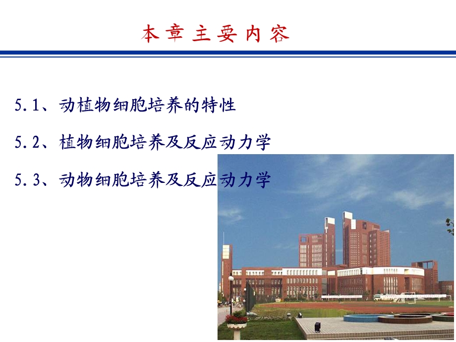 第五部分动植物细胞培养动力学教学课件名师编辑PPT课件.ppt_第2页