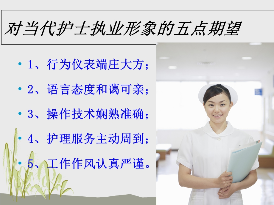 整体护理与护理程序精选文档.ppt_第2页