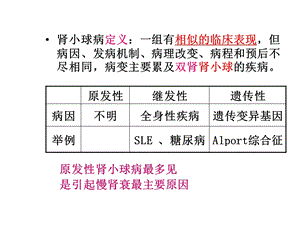 最新新肾小球病概述新PPT文档.ppt