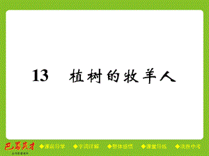 七年级语文上册课件人教部编版：13 植树的牧羊人(共33张PPT).ppt