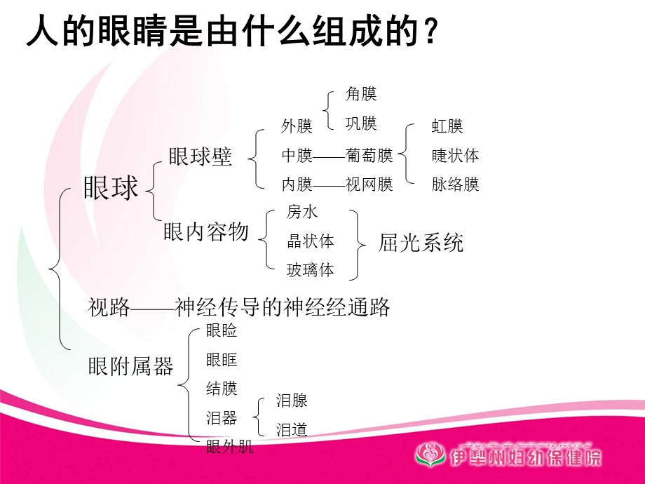 最新科室内讲课解剖ppt课件PPT文档.ppt_第2页