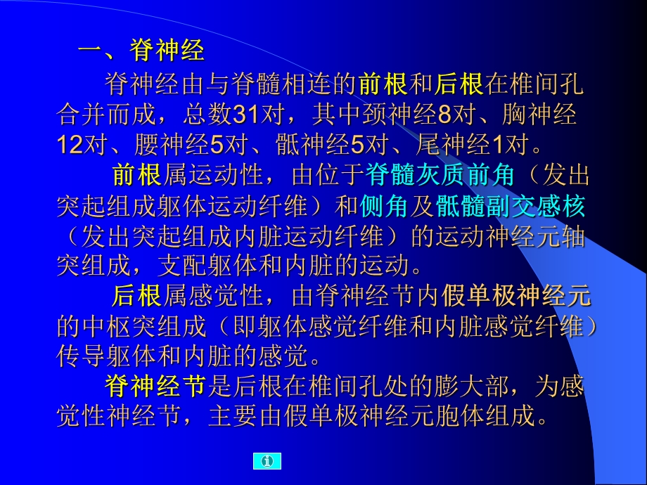 最新课题：神经系统(五) 一、脊神经的组成及分支 二、脑神经PPT文档.ppt_第2页