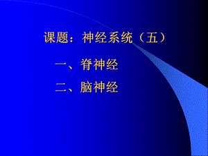 最新课题：神经系统(五) 一、脊神经的组成及分支 二、脑神经PPT文档.ppt