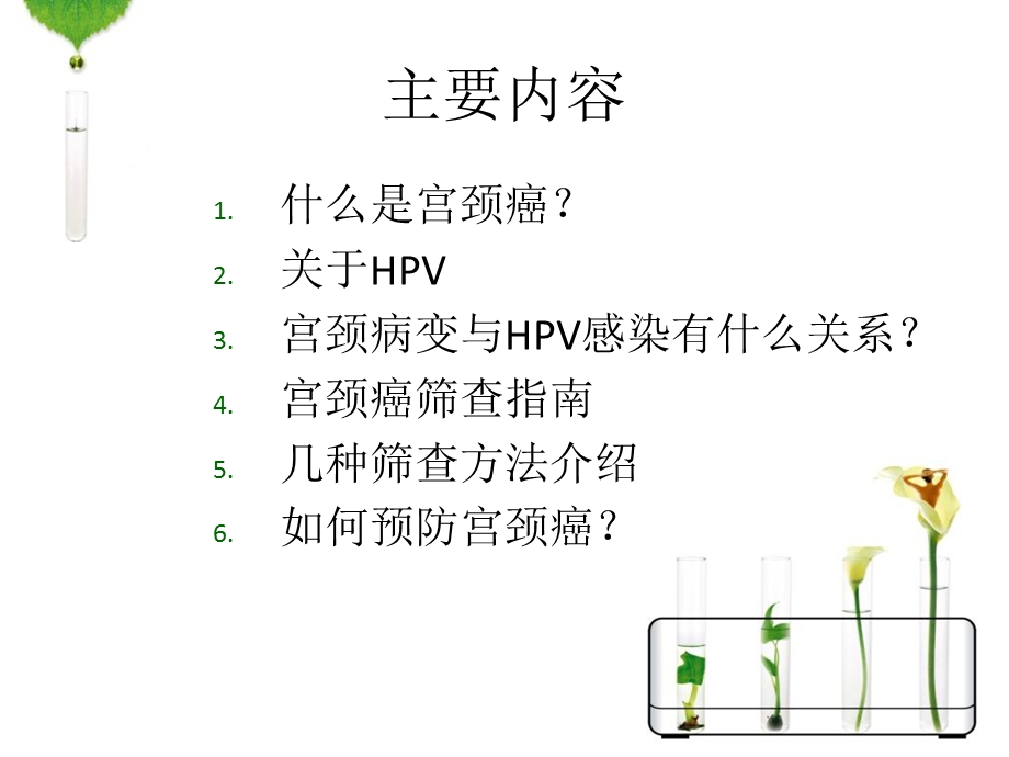 HPV感染与宫颈癌PPT课件.ppt_第2页