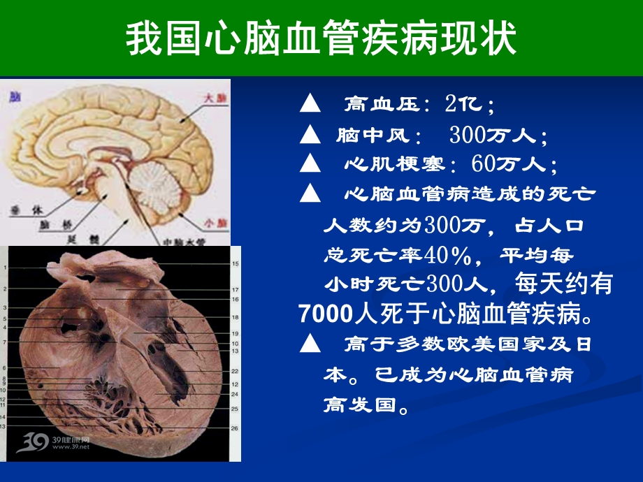 心脑血管疾病基础知识ppt课件文档资料.ppt_第1页