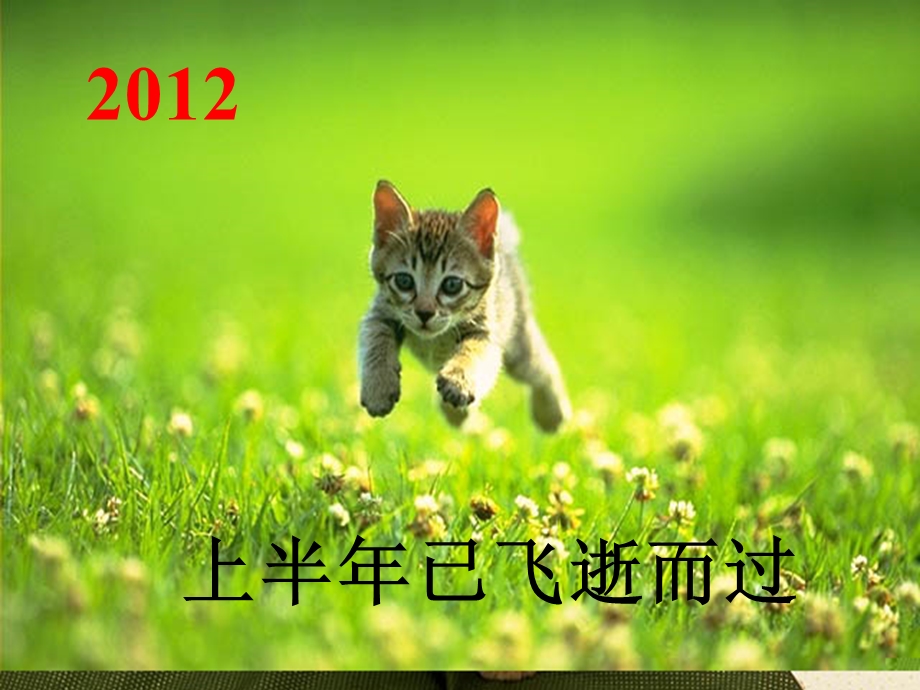 [人力资源管理]我把翅膀献给了天空——放飞梦想.ppt_第2页