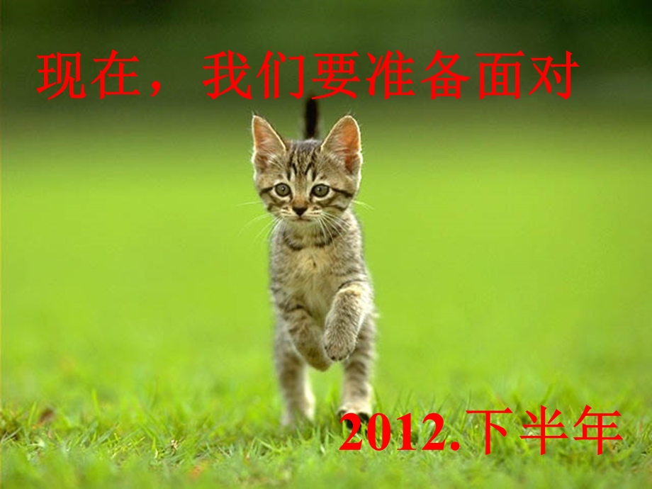 [人力资源管理]我把翅膀献给了天空——放飞梦想.ppt_第3页