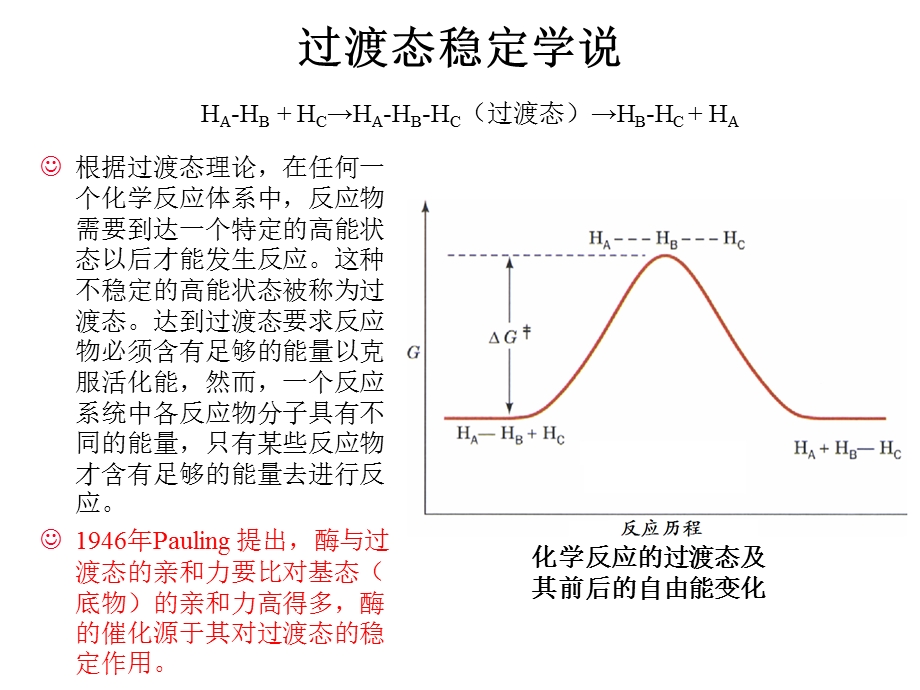 第二篇酶的结构与功能酶的催化机制名师编辑PPT课件.ppt_第3页