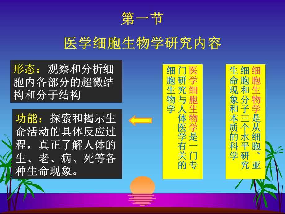 医学细胞生物学精选文档.ppt_第2页