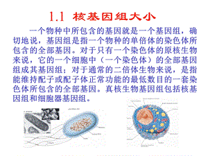 最新分子生物学 第1章 细胞核基因组PPT课件PPT文档.ppt