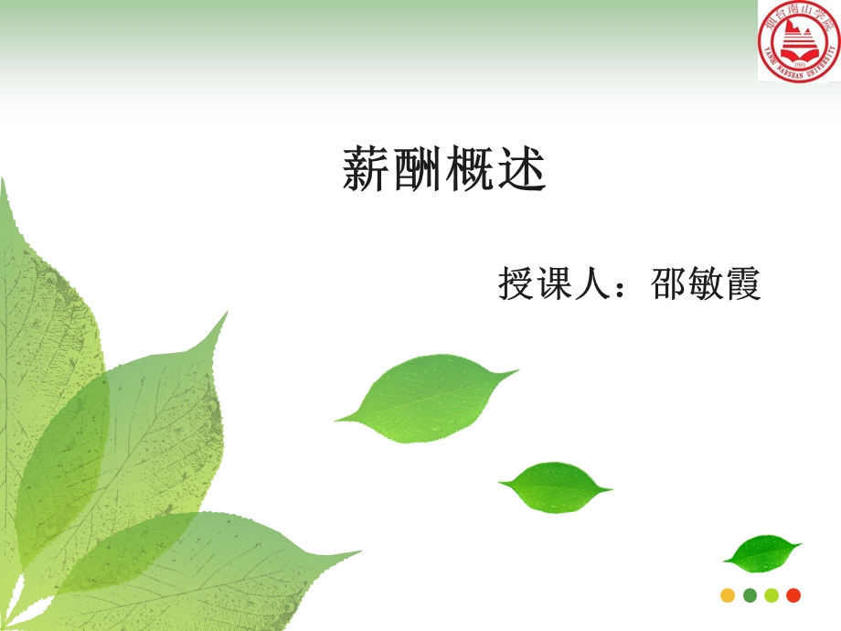 [人力资源管理]薪酬管理精品.ppt_第1页