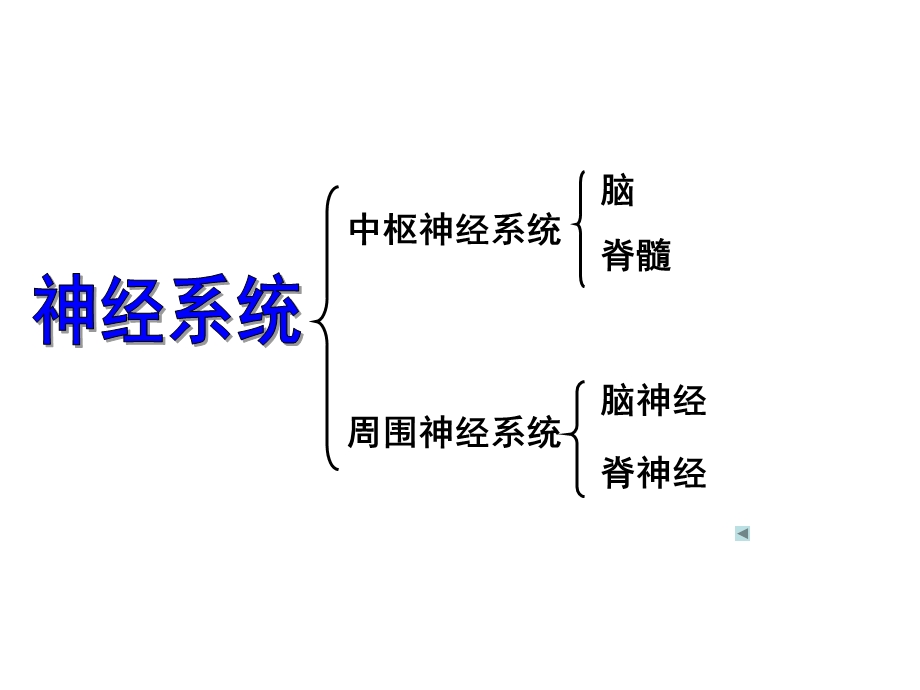 通过神经系统调节文档资料.ppt_第2页