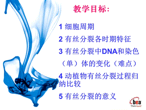 最新高一生物必修二细胞增殖PPT文档.ppt