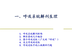 最新：k呼吸系统解剖生理与呼吸机的基本模式文档资料.ppt