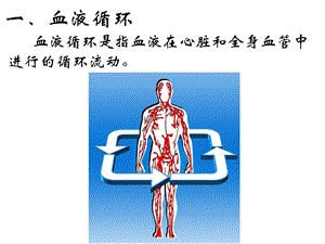 最新血液循环PPT课件PPT文档.ppt