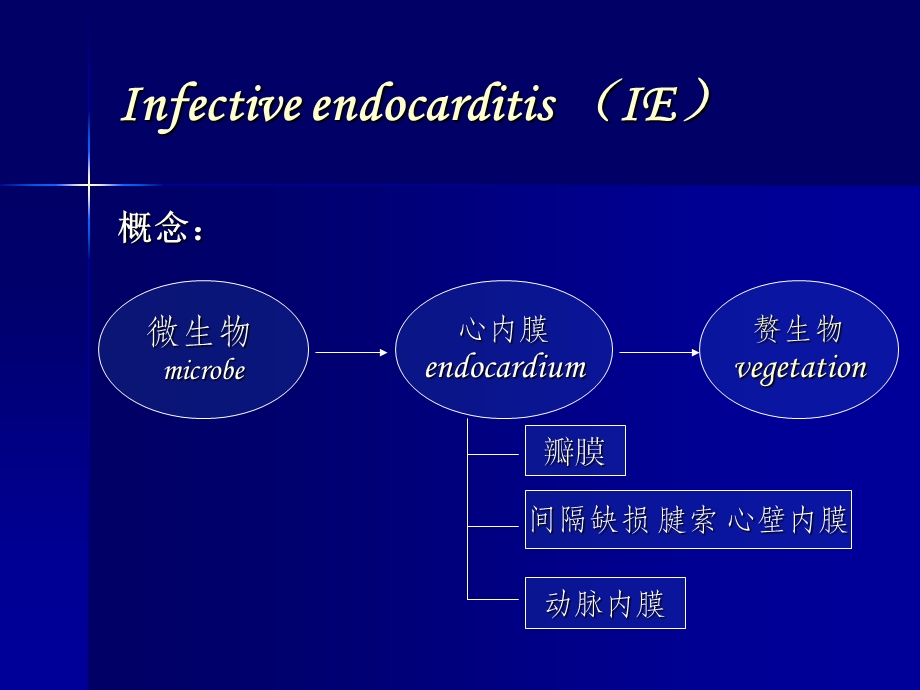 最新感染性心内膜炎3PPT文档.ppt_第1页