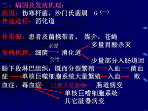 最新：病理学 第十五章第三节 伤寒文档资料.ppt