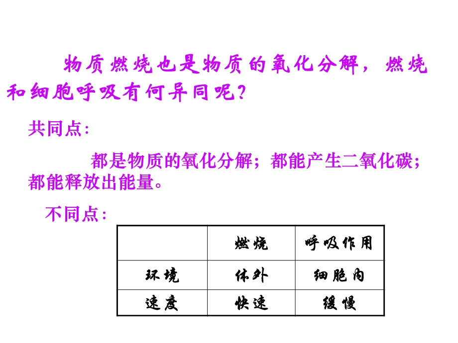 最新ATP能量的主要来源—细胞呼吸PPT文档.ppt_第2页