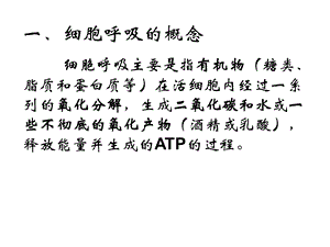 最新ATP能量的主要来源—细胞呼吸PPT文档.ppt