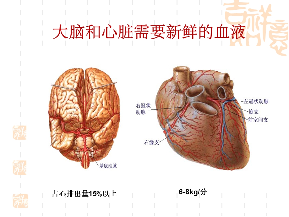 最新最新：12版基药心脑血管药物部分文档资料PPT文档.ppt_第2页