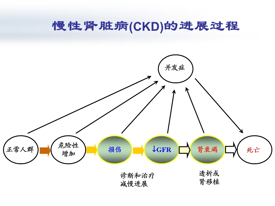 慢性肾脏病的治疗与监测PPT文档资料.ppt_第1页