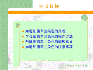 5细菌革兰染色PPT文档.ppt