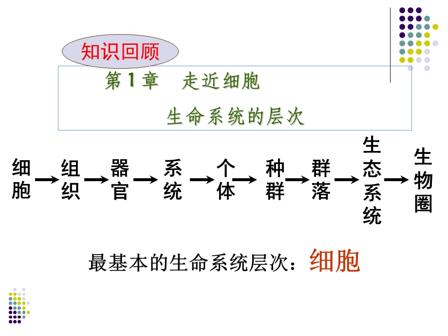 第1章走近细胞生命系统的层次名师编辑PPT课件.ppt_第1页