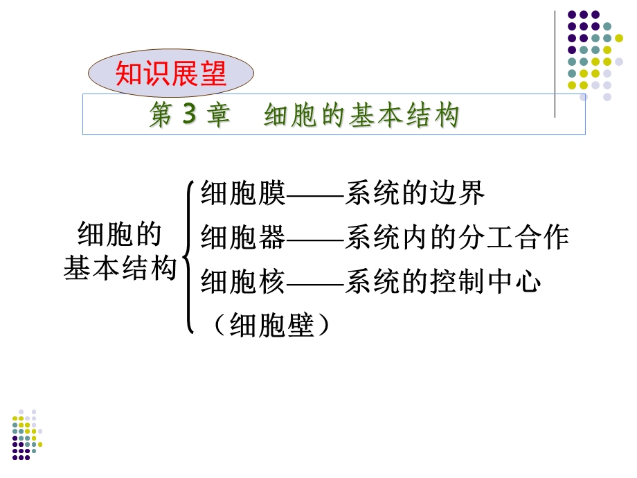 第1章走近细胞生命系统的层次名师编辑PPT课件.ppt_第3页