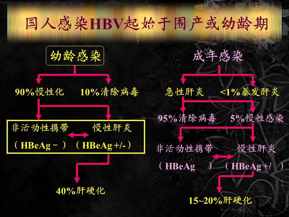 慢乙肝抗病毒治疗精选文档.ppt_第3页