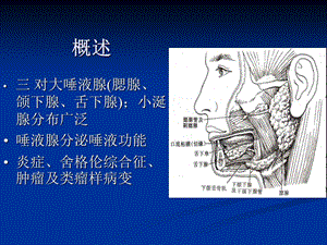 唾液腺常见疾病PPT文档资料.ppt