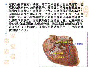 冠状动脉搭术患者护理查房课件PPT文档资料.ppt