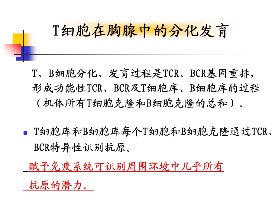 最新第十章T细胞PPT文档.ppt_第3页