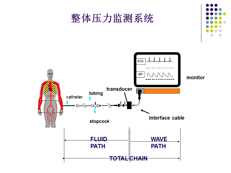 有创动脉压力监测文档资料.ppt_第2页