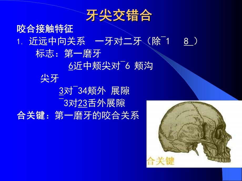 中国医科大学口腔解剖生理学课件06PPT文档.ppt_第2页