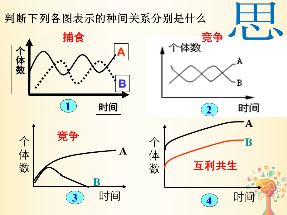 江西省高中生物第四章种群和群落4.3群落的结构2课件新人教版.pptx_第2页